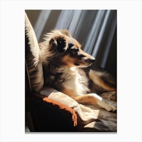Dog In The Sun Canvas Print