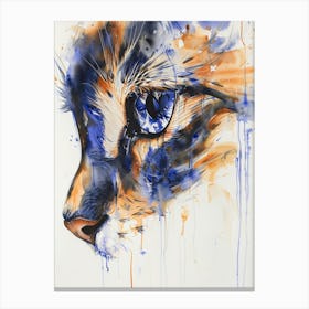 Cat'S Eye Canvas Print