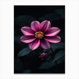 Dahlia Flower 21 Canvas Print