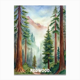 Redwood National Park Watercolor Painting Canvas Print