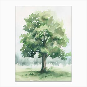 Pecan Tree Atmospheric Watercolour Painting 2 Canvas Print