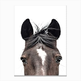 Brown Horse's Head Canvas Print