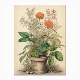 Orange Flowers In A Pot Canvas Print