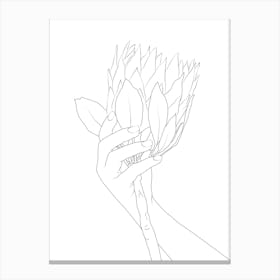Line Protea Flower Canvas Print