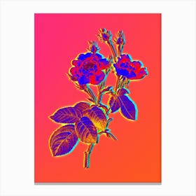 Neon Anemone Centuries Rose Botanical in Hot Pink and Electric Blue Canvas Print