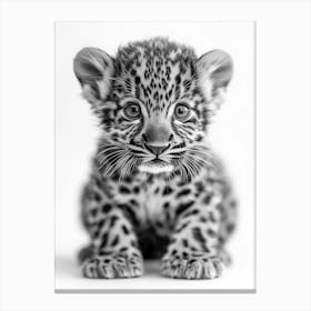 Leopard Cub Canvas Print