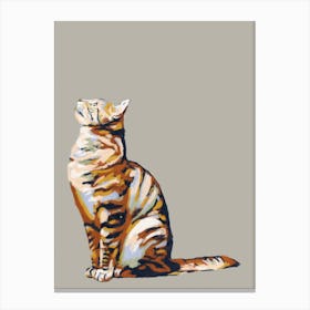 Cat Looking Up Canvas Print