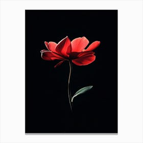 Single Red Flower 3 Canvas Print