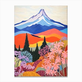 Mount Hood United States 1 Colourful Mountain Illustration Canvas Print