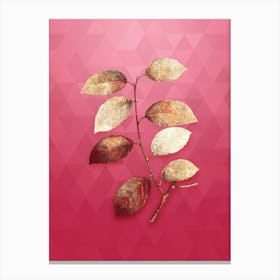 Vintage Eared Willow Botanical in Gold on Viva Magenta n.0824 Canvas Print