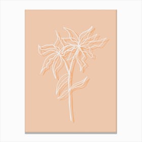 Peach Flower Shade Canvas Print