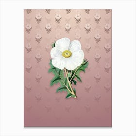 Vintage Mexican Poppy Flower Botanical on Dusty Pink Pattern Canvas Print