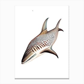 Zebra Shark Vintage Canvas Print