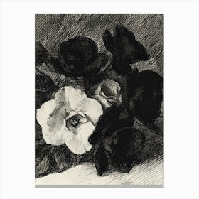 Black And White Roses 2 Canvas Print