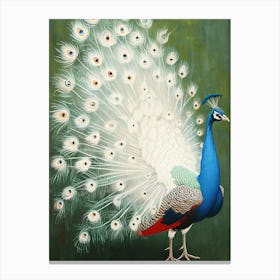 Peacock - Peacock Canvas Print