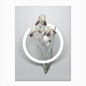 Vintage Elder Scented Iris Minimalist Floral Geometric Circle on Soft Gray n.0139 Canvas Print