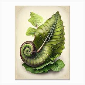 Garden Snail On A Leaf 1 Botanical Canvas Print