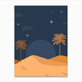 Night In The Desert Canvas Print