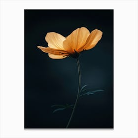 Cosmos 2 Canvas Print