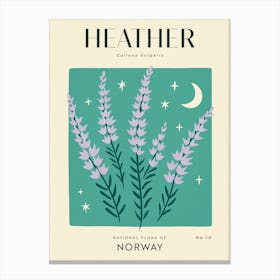 Vintage Green And Purple Heather Flower Of Norway Canvas Print