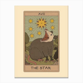 The Star - Possum Tarot Canvas Print