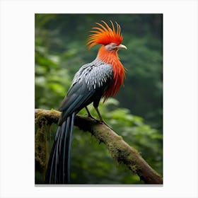 Jungle Symphony: Andean Jungle Bird Wall Print Canvas Print