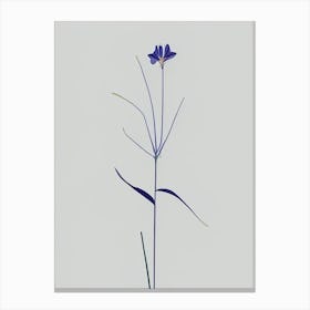 Spiderwort Wildflower Simplicity Canvas Print