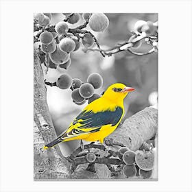 Yellow Bird In A Tree 1 Canvas Print