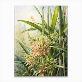 Lemongrass Canvas Print