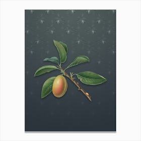 Vintage Armenian Plum Botanical on Slate Gray Pattern Canvas Print