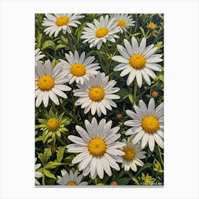 Summer Daisies Canvas Print