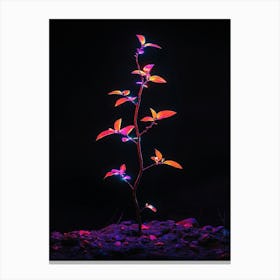 Plant With Lights Canvas Print