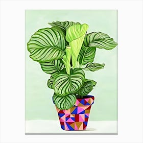 Potted Plant 5 Canvas Print