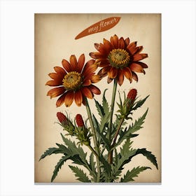 Daisy flowers Canvas Print