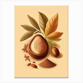 Nutmeg Spices And Herbs Retro Drawing 2 Canvas Print
