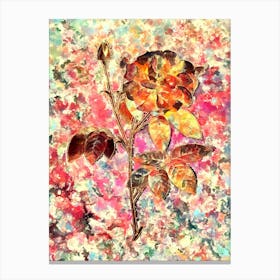 Impressionist French Rose Botanical Painting in Blush Pink and Gold n.0019 Canvas Print