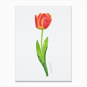Tulip5 Canvas Print