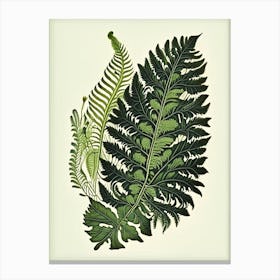 Walking Fern 1 Vintage Botanical Poster Canvas Print