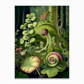 Garden Snail Woodland 1 Botanical Canvas Print