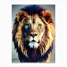 Lion 2 Canvas Print