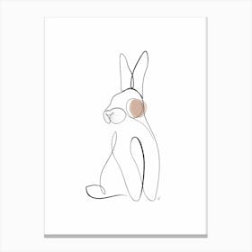 Rabbit Canvas Print