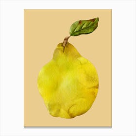 Yellow Pear Canvas Print