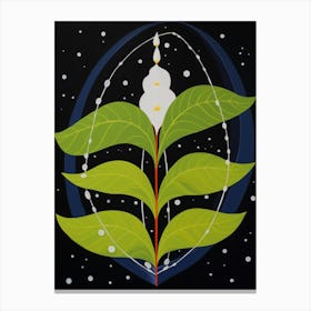 Lily Of The Valley 2 Hilma Af Klint Inspired Flower Illustration Canvas Print