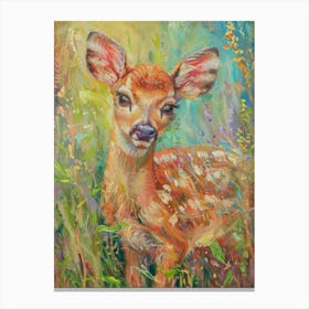 Fawn Painting 2 Canvas Print