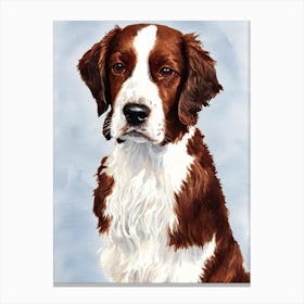 Welsh Springer Spaniel 2 Watercolour dog Canvas Print