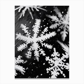 Ice, Snowflakes, Black & White 2 Canvas Print