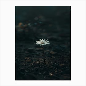 White Flora Canvas Print