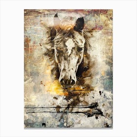 Poster Horse Wild Animal Illustration Art 03 Canvas Print