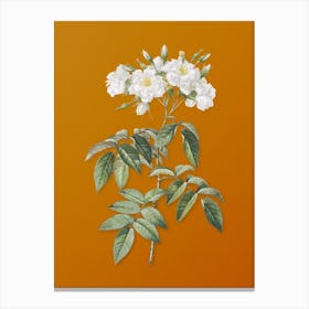 Vintage Musk Rose Botanical on Sunset Orange n.0758 Canvas Print