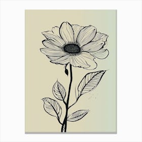 Line Art Sunflower Flowers Illustration Neutral 9 Canvas Print